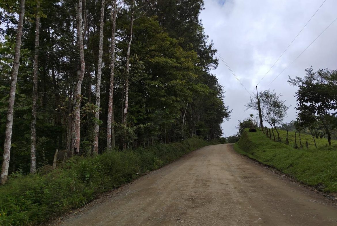 FINCA LA PAZ FARM WITH AMAZING MOUNTAIN VIEWS, CREEK AND COOL CLIMATE – 4 ACRES