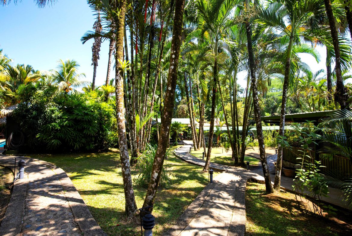 MAIN HOME, 3 CABINS, POOL, SUANA, AND WORKSHOP – 1.73 ACRES