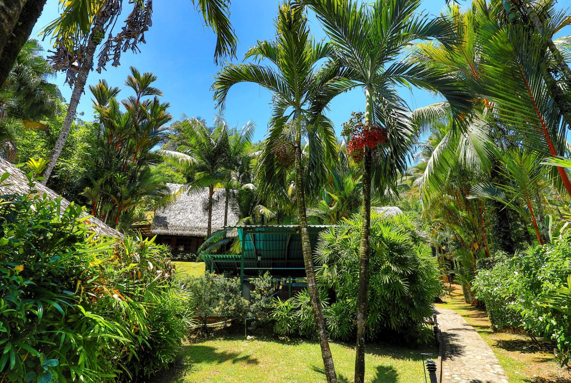 MAIN HOME, 3 CABINS, POOL, SUANA, AND WORKSHOP – 1.73 ACRES, Uvita, Costa Rica — photo 8