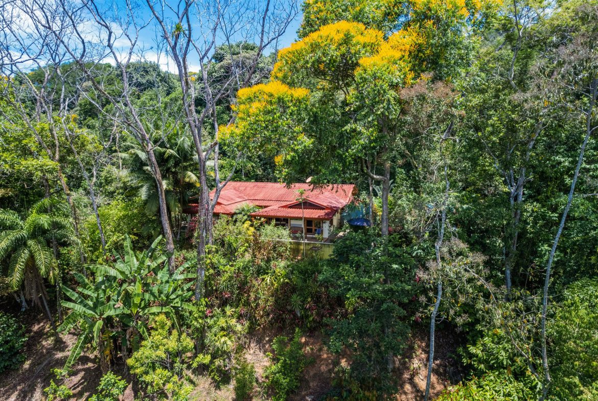 Finca Aracari – Your Natural Zen Awaits – 9.17 Acres, Uvita, Costa Rica — photo 5