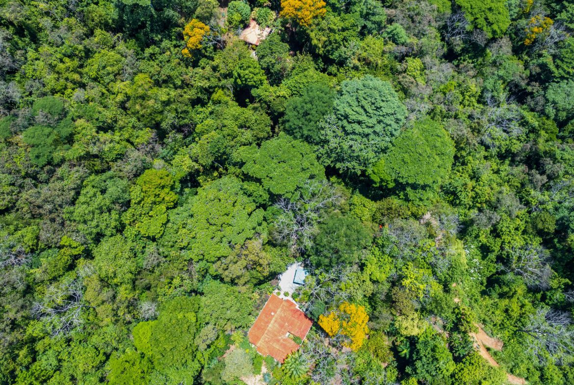 Finca Aracari – Your Natural Zen Awaits – 9.17 Acres, Uvita, Costa Rica — photo 6