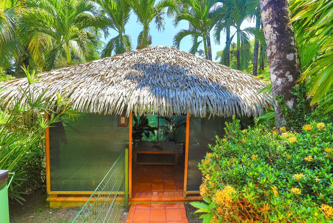 MAIN HOME, 3 CABINS, POOL, SUANA, AND WORKSHOP – 1.73 ACRES