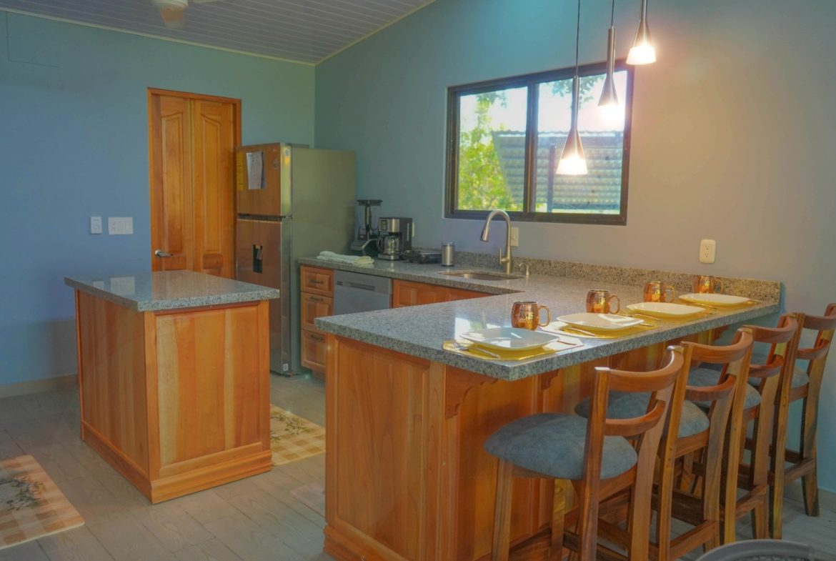 HOUSE AND SMALL TICO STYLE GUEST HOUSE – 1.6 ACRES, Uvita, Costa Rica — photo 8