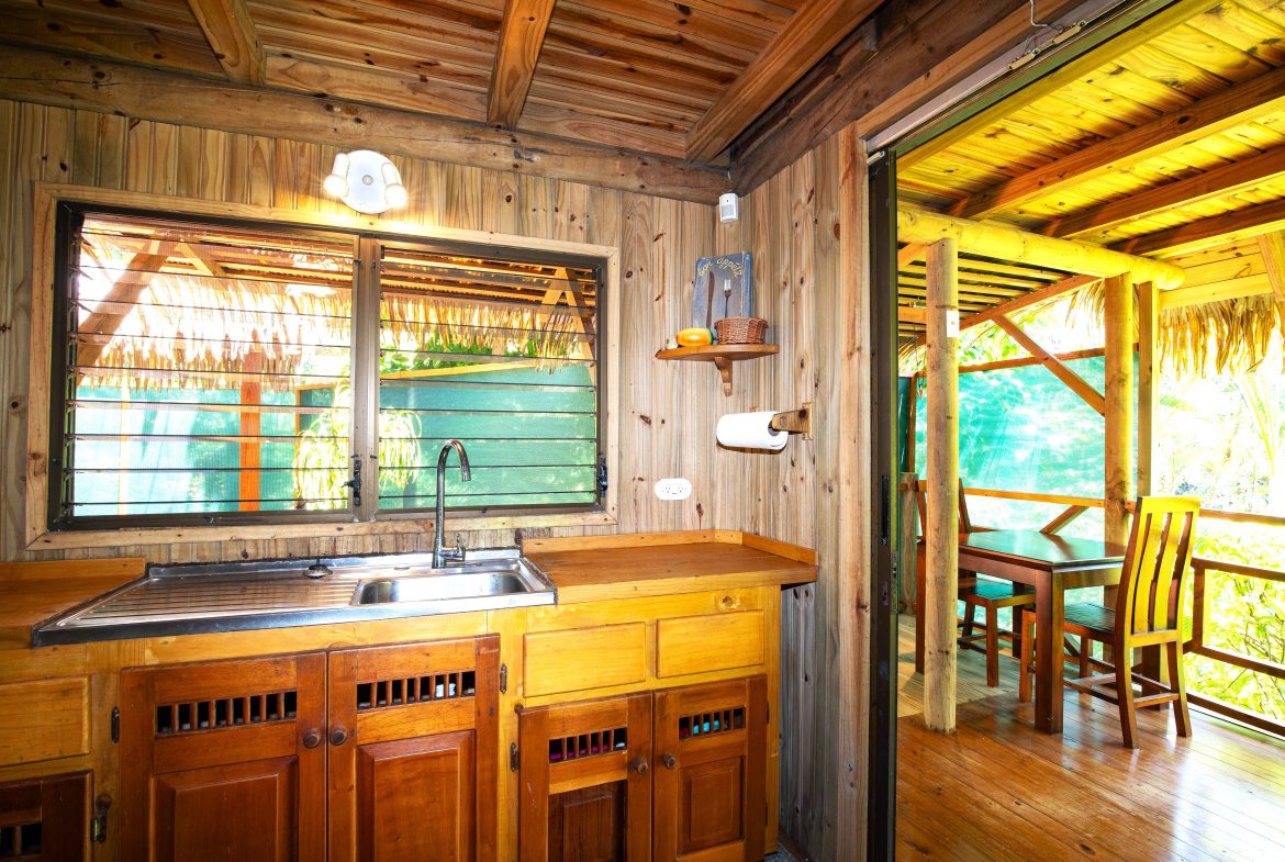MAIN HOME, 3 CABINS, POOL, SUANA, AND WORKSHOP – 1.73 ACRES