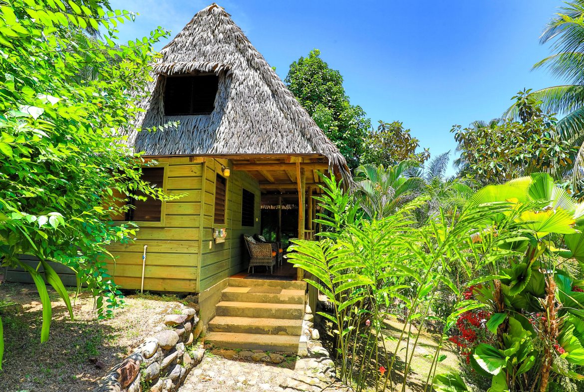 MAIN HOME, 3 CABINS, POOL, SUANA, AND WORKSHOP – 1.73 ACRES