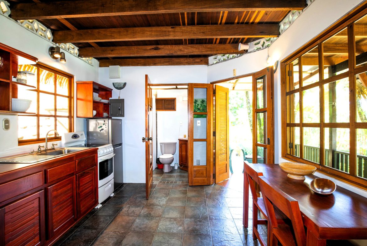 MAIN HOME, 3 CABINS, POOL, SUANA, AND WORKSHOP – 1.73 ACRES