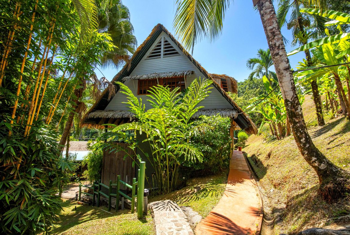 MAIN HOME, 3 CABINS, POOL, SUANA, AND WORKSHOP – 1.73 ACRES