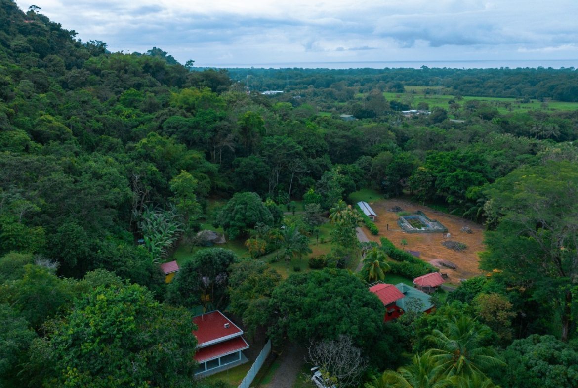 HOUSE AND SMALL TICO STYLE GUEST HOUSE – 1.6 ACRES