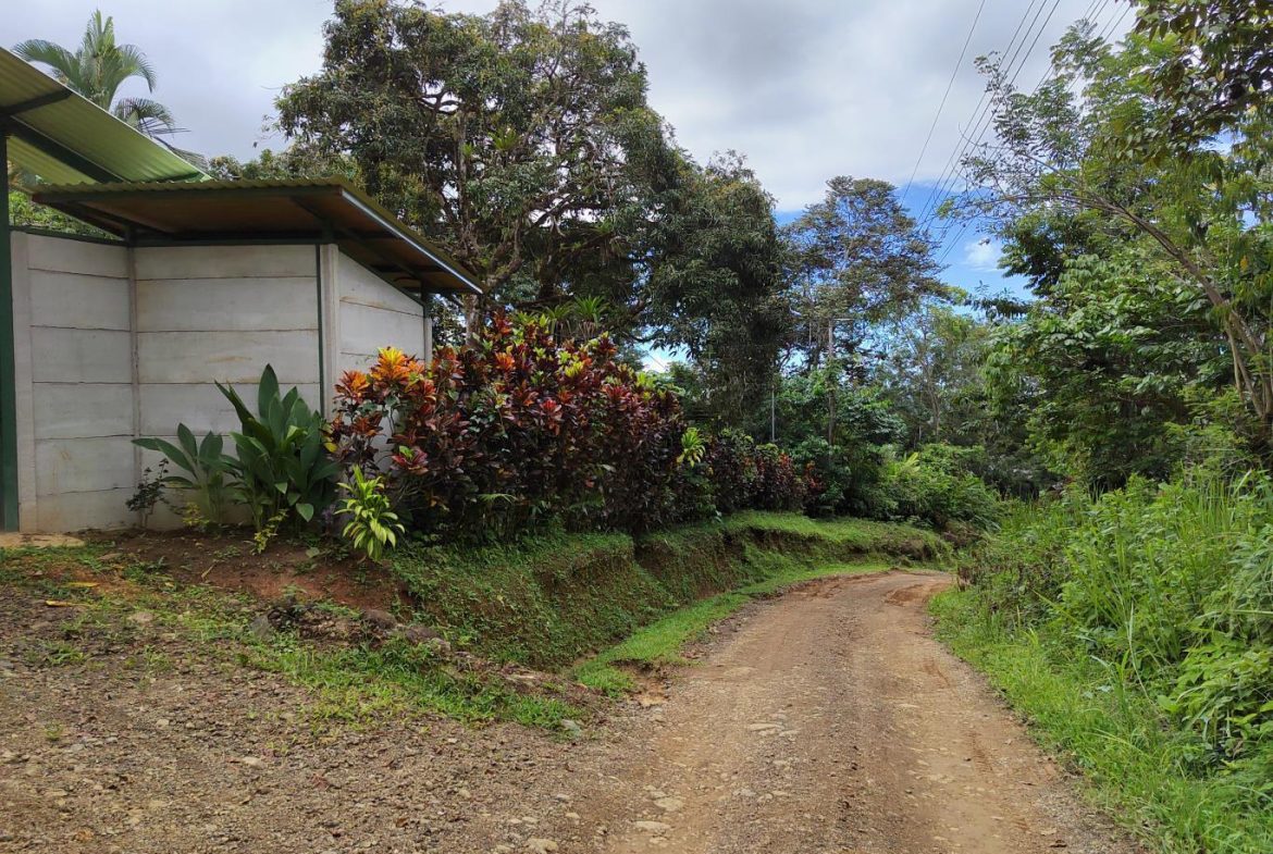 FINCA LA PAZ FARM WITH AMAZING MOUNTAIN VIEWS, CREEK AND COOL CLIMATE – 4 ACRES