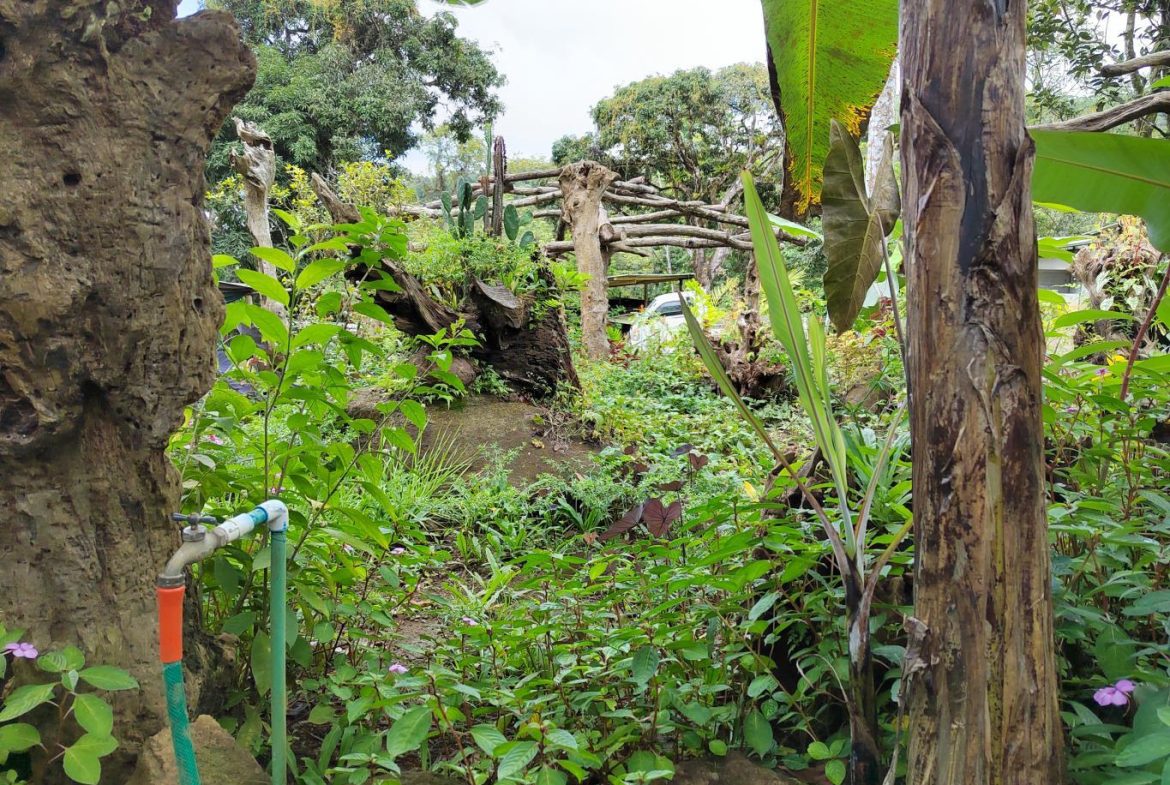 FINCA LA PAZ FARM WITH AMAZING MOUNTAIN VIEWS, CREEK AND COOL CLIMATE – 4 ACRES