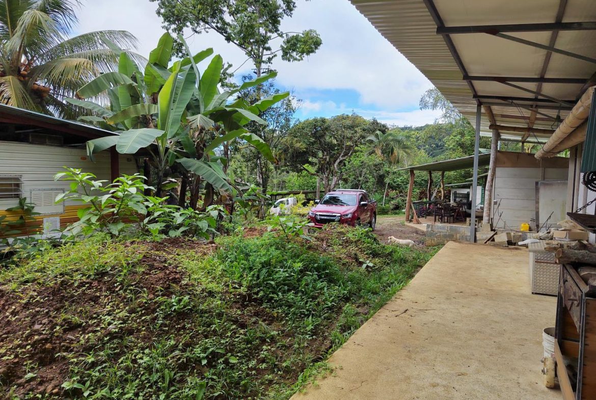 FINCA LA PAZ FARM WITH AMAZING MOUNTAIN VIEWS, CREEK AND COOL CLIMATE – 4 ACRES