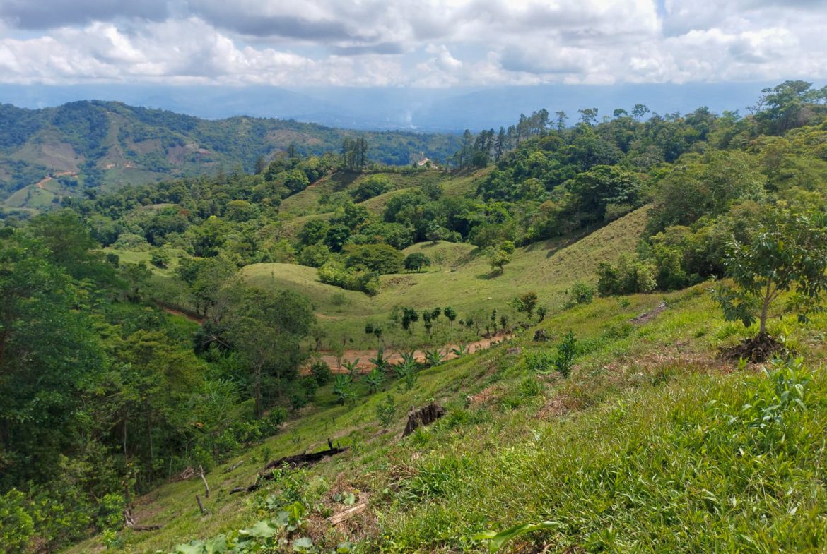 PARORAMIC VIEW OF THE SOUTH PACIFIC COSTS LOT – 3.36 ACRES