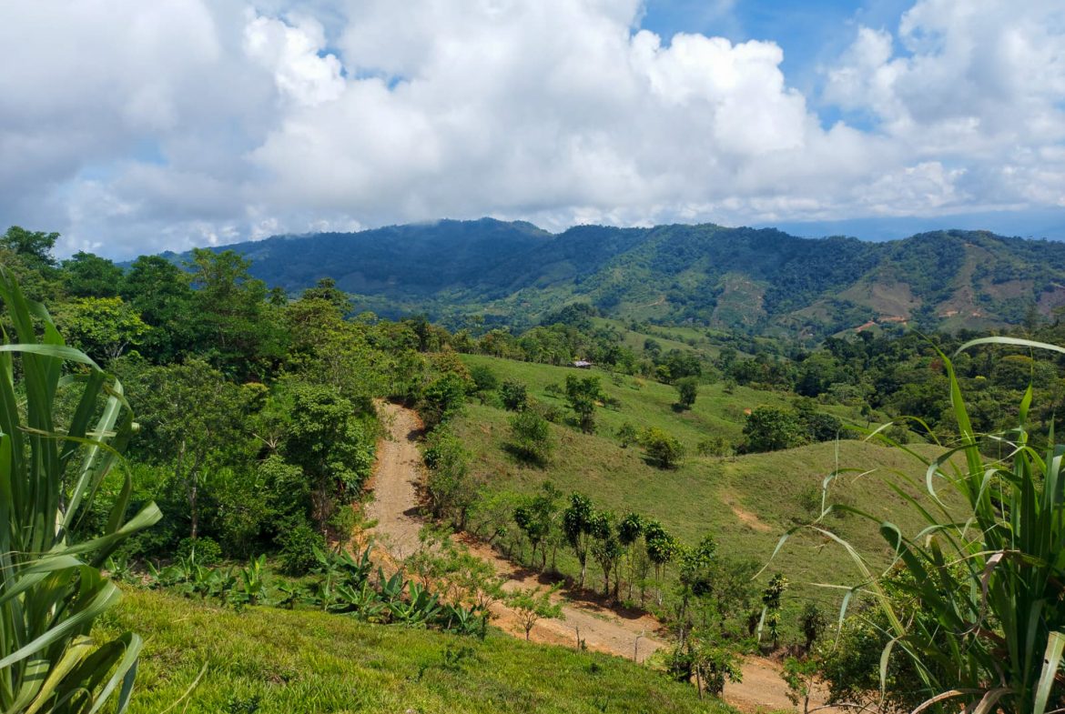 PARORAMIC VIEW OF THE SOUTH PACIFIC COSTS LOT – 3.36 ACRES