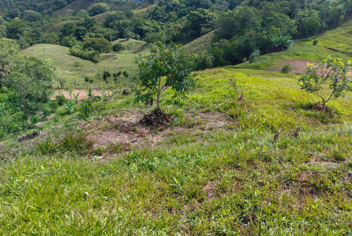 PARORAMIC VIEW OF THE SOUTH PACIFIC COSTS LOT – 3.36 ACRES