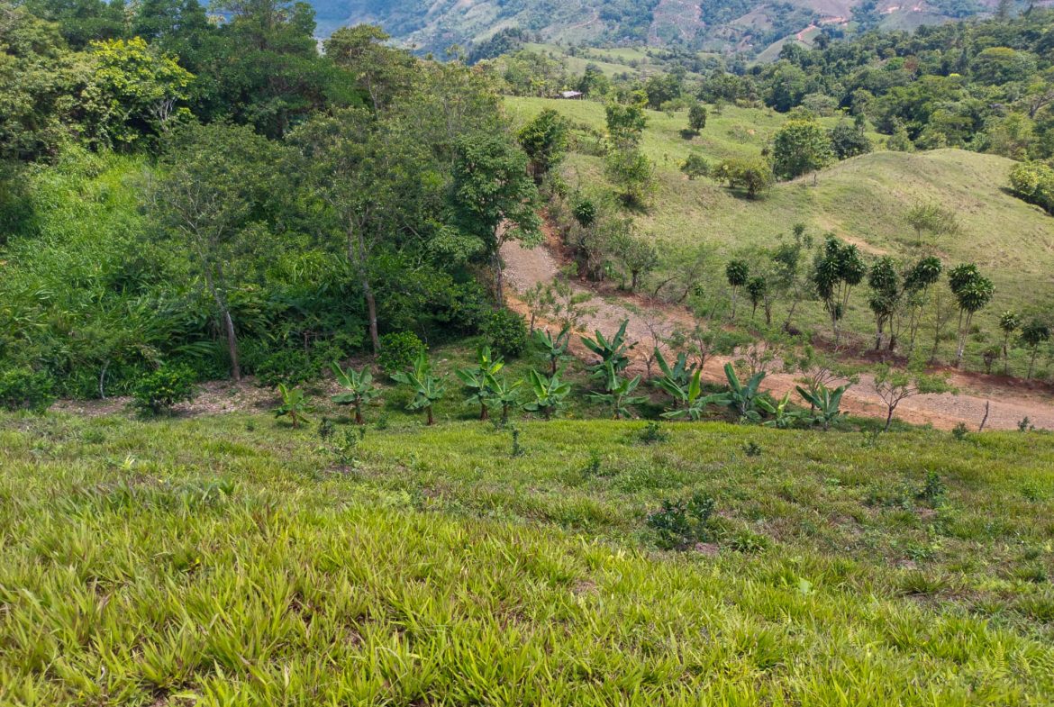 PARORAMIC VIEW OF THE SOUTH PACIFIC COSTS LOT – 3.36 ACRES