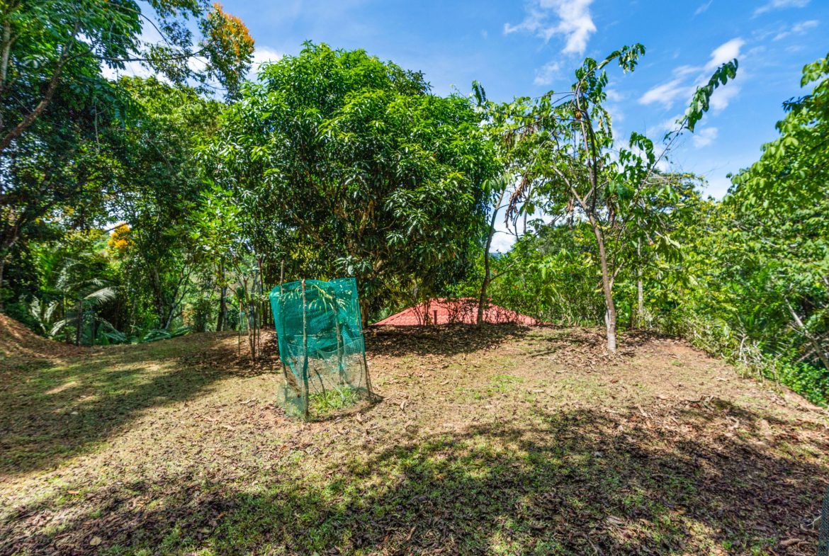 Finca Aracari – Your Natural Zen Awaits – 9.17 Acres