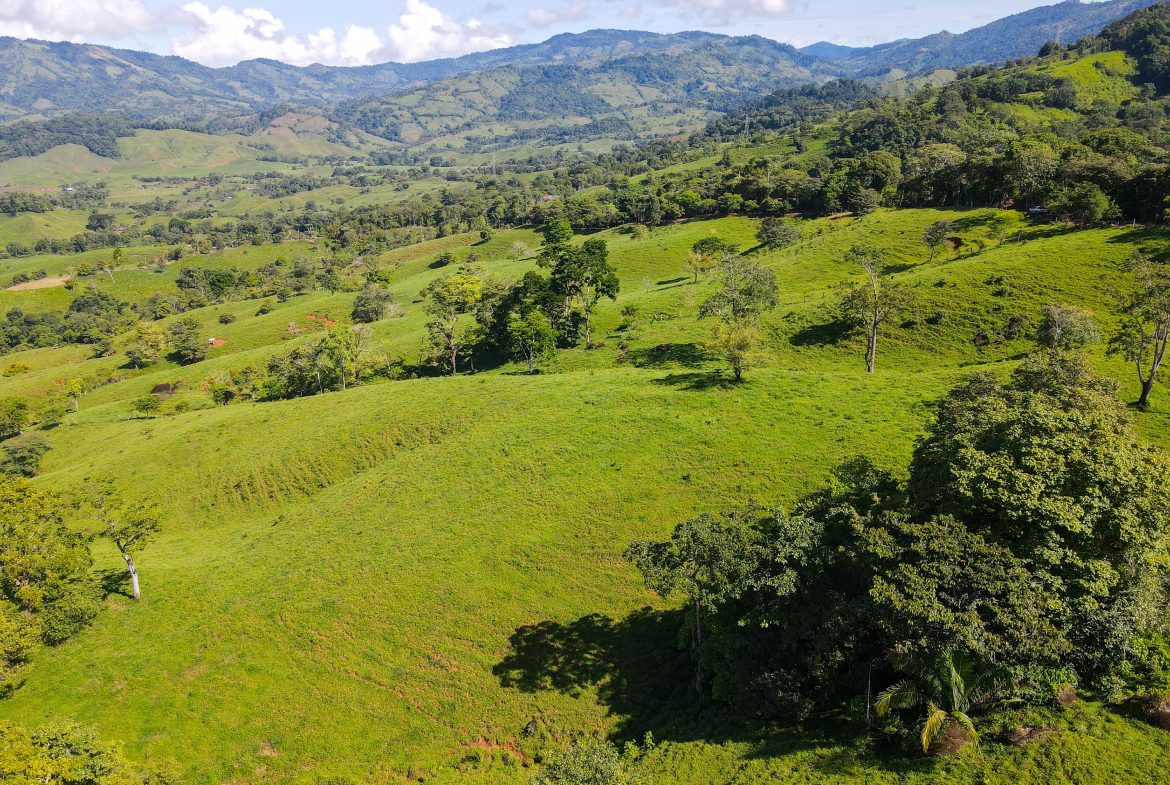 “THE FARM OF THE SECRET STONE” WITH WATER SPRINGS, FULL RIVER ACCESS AND SWIMMING HOLES – 191 ACRES