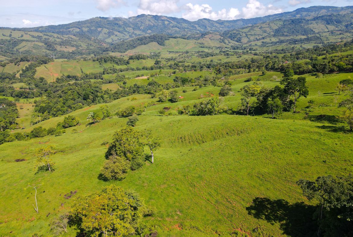 “THE FARM OF THE SECRET STONE” WITH WATER SPRINGS, FULL RIVER ACCESS AND SWIMMING HOLES – 191 ACRES