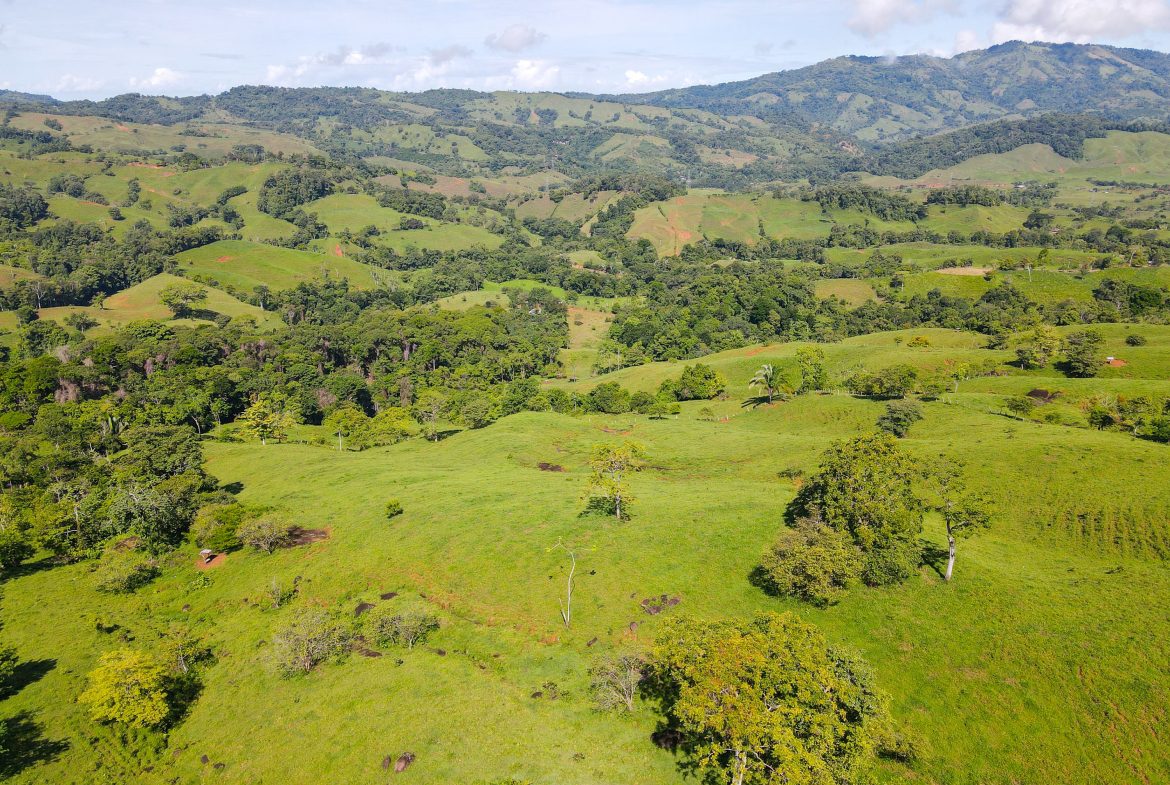“THE FARM OF THE SECRET STONE” WITH WATER SPRINGS, FULL RIVER ACCESS AND SWIMMING HOLES – 191 ACRES