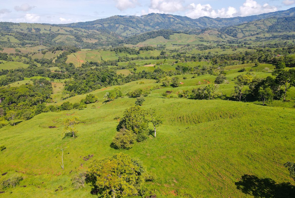 “THE FARM OF THE SECRET STONE” WITH WATER SPRINGS, FULL RIVER ACCESS AND SWIMMING HOLES – 191 ACRES