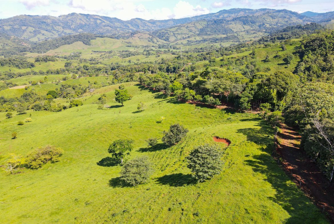 “THE FARM OF THE SECRET STONE” WITH WATER SPRINGS, FULL RIVER ACCESS AND SWIMMING HOLES – 191 ACRES