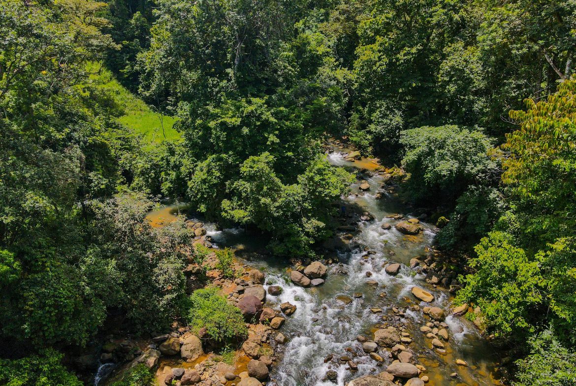“THE FARM OF THE SECRET STONE” WITH WATER SPRINGS, FULL RIVER ACCESS AND SWIMMING HOLES – 191 ACRES