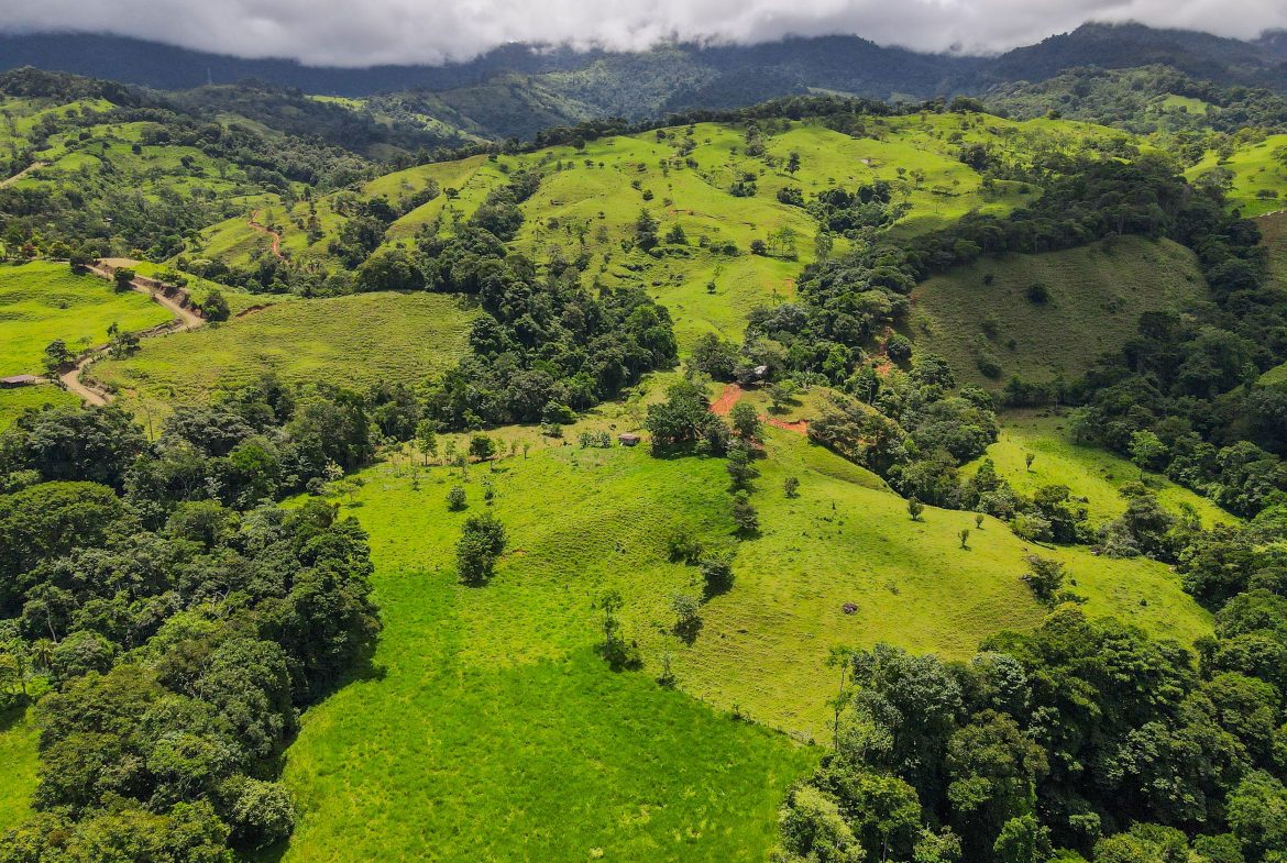 “THE FARM OF THE SECRET STONE” WITH WATER SPRINGS, FULL RIVER ACCESS AND SWIMMING HOLES – 191 ACRES