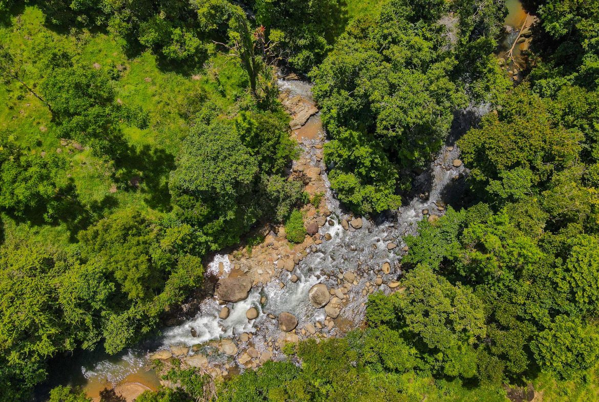 “THE FARM OF THE SECRET STONE” WITH WATER SPRINGS, FULL RIVER ACCESS AND SWIMMING HOLES – 191 ACRES
