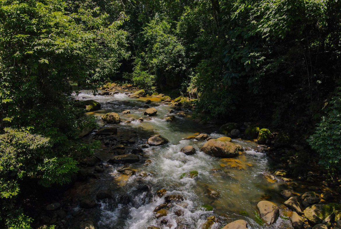 “THE FARM OF THE SECRET STONE” WITH WATER SPRINGS, FULL RIVER ACCESS AND SWIMMING HOLES – 191 ACRES