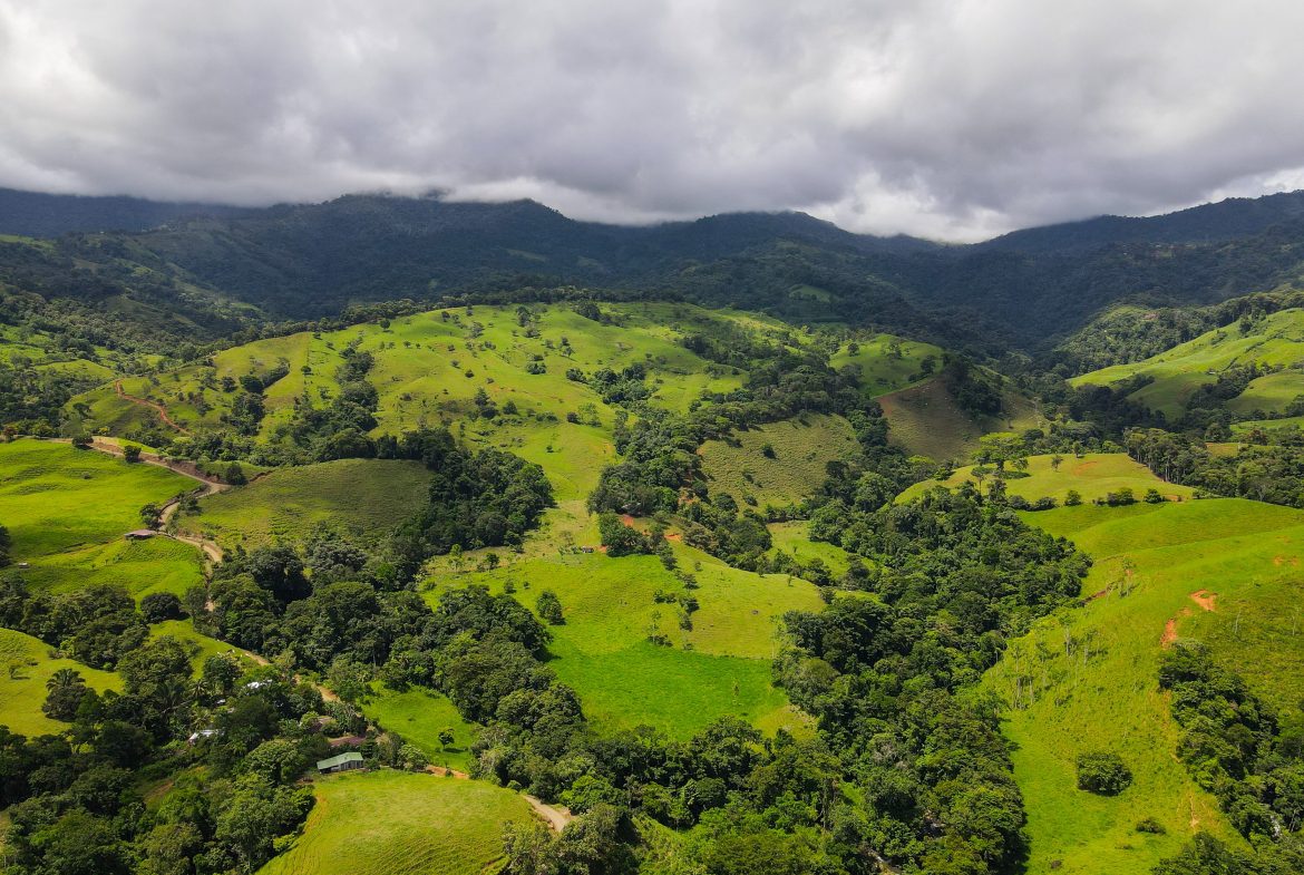 “THE FARM OF THE SECRET STONE” WITH WATER SPRINGS, FULL RIVER ACCESS AND SWIMMING HOLES – 191 ACRES