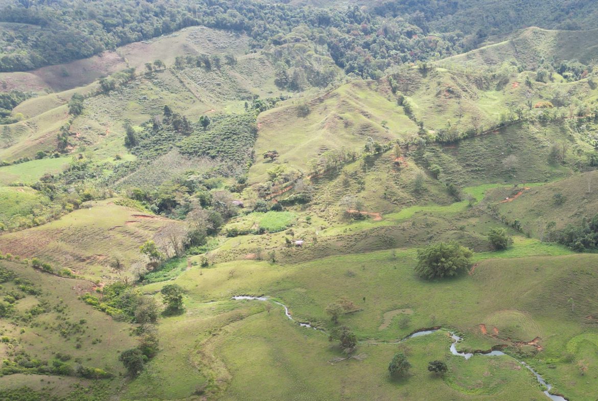 OFF-GRID MOUNTAIN PARADISE WITH LIVESTOCK, CREEKS, AND MORE – 331 ACRES AT VILLA FLOR