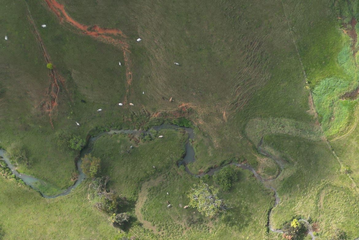 OFF-GRID MOUNTAIN PARADISE WITH LIVESTOCK, CREEKS, AND MORE – 331 ACRES AT VILLA FLOR