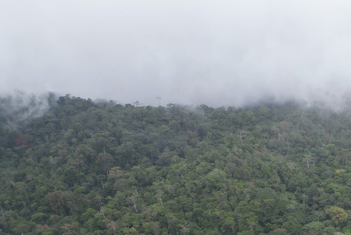 OFF-GRID MOUNTAIN PARADISE WITH LIVESTOCK, CREEKS, AND MORE – 331 ACRES AT VILLA FLOR