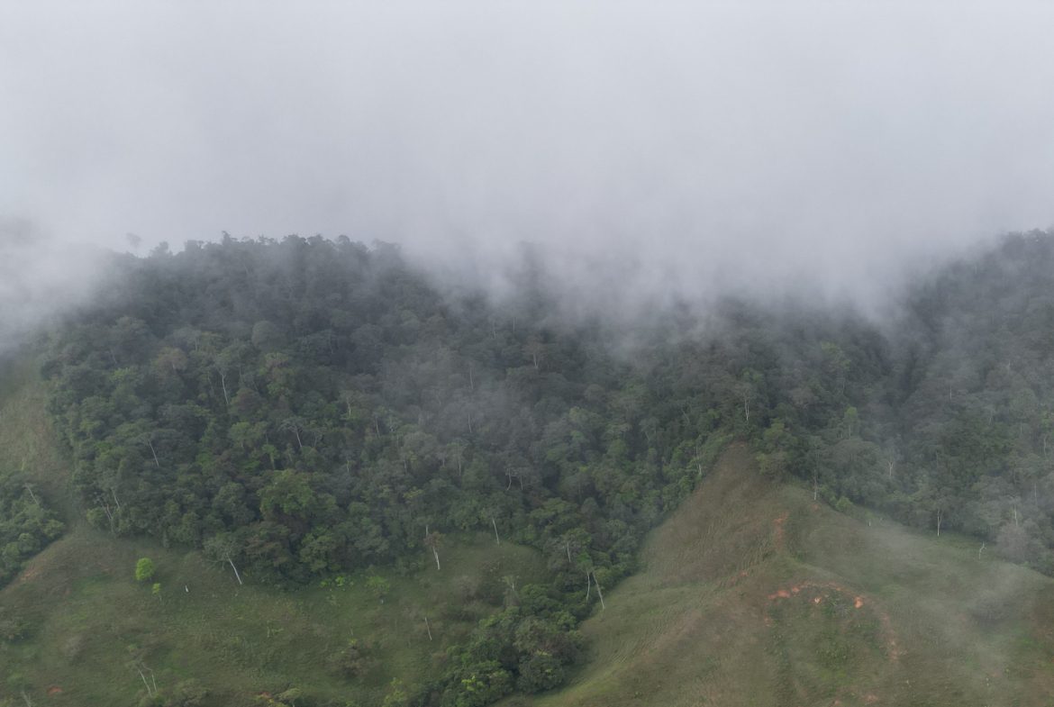 OFF-GRID MOUNTAIN PARADISE WITH LIVESTOCK, CREEKS, AND MORE – 331 ACRES AT VILLA FLOR