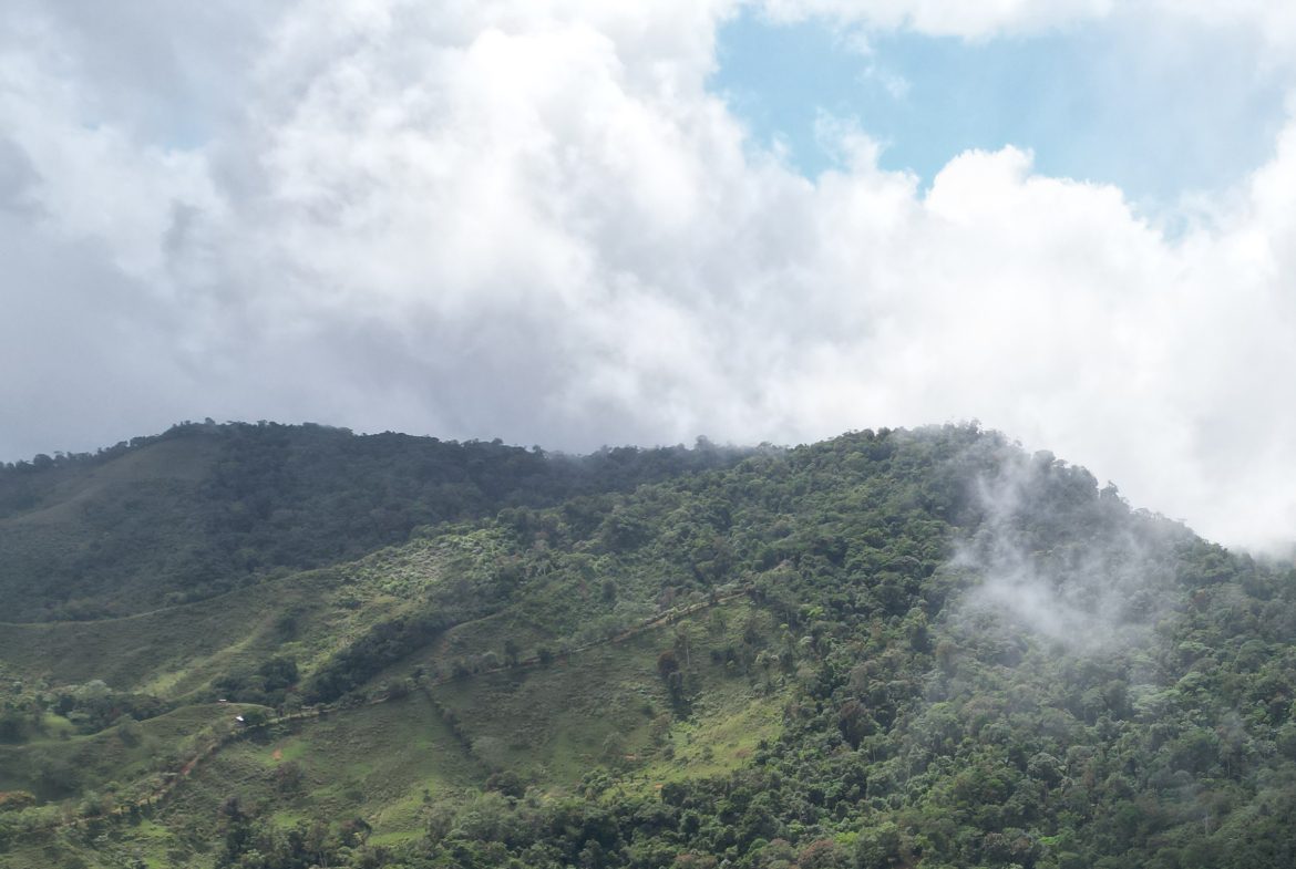 OFF-GRID MOUNTAIN PARADISE WITH LIVESTOCK, CREEKS, AND MORE – 331 ACRES AT VILLA FLOR