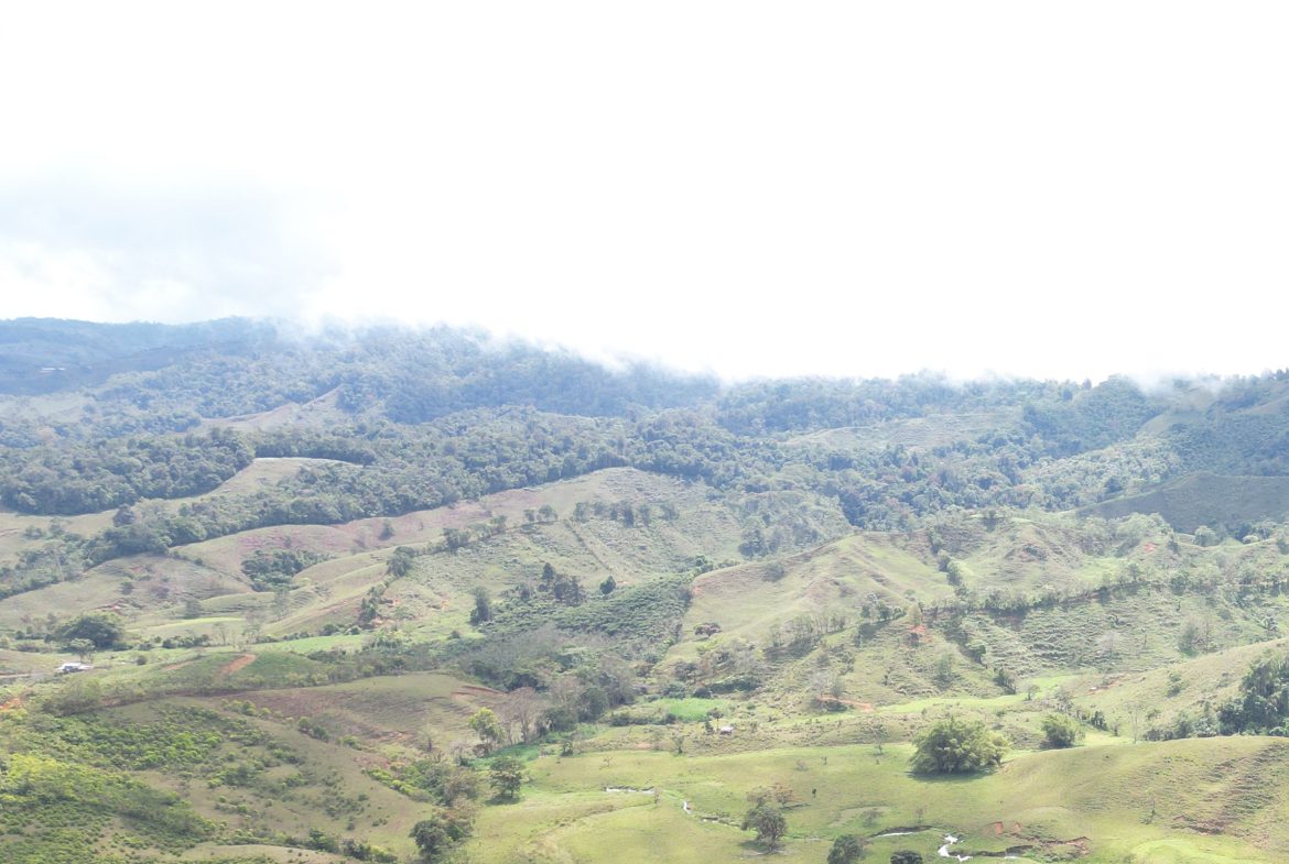 OFF-GRID MOUNTAIN PARADISE WITH LIVESTOCK, CREEKS, AND MORE – 331 ACRES AT VILLA FLOR