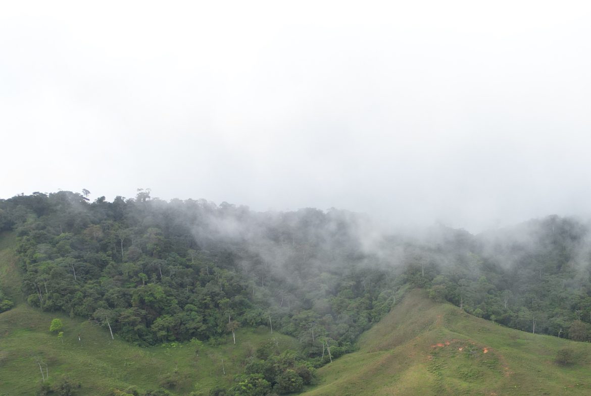 OFF-GRID MOUNTAIN PARADISE WITH LIVESTOCK, CREEKS, AND MORE – 331 ACRES AT VILLA FLOR