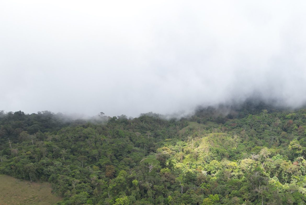 OFF-GRID MOUNTAIN PARADISE WITH LIVESTOCK, CREEKS, AND MORE – 331 ACRES AT VILLA FLOR