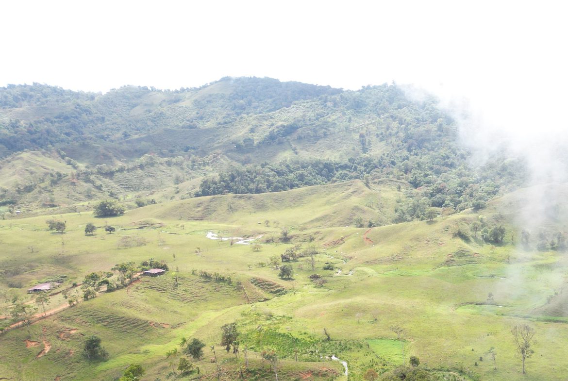 OFF-GRID MOUNTAIN PARADISE WITH LIVESTOCK, CREEKS, AND MORE – 331 ACRES AT VILLA FLOR