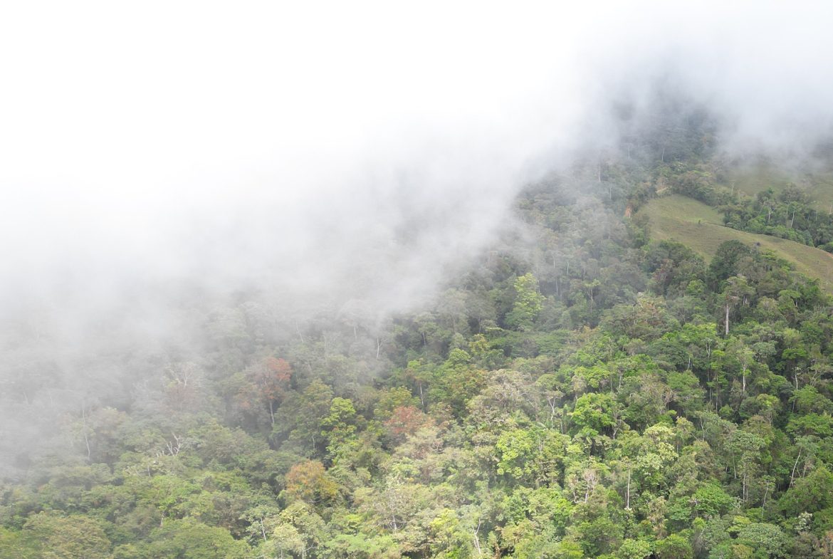 OFF-GRID MOUNTAIN PARADISE WITH LIVESTOCK, CREEKS, AND MORE – 331 ACRES AT VILLA FLOR