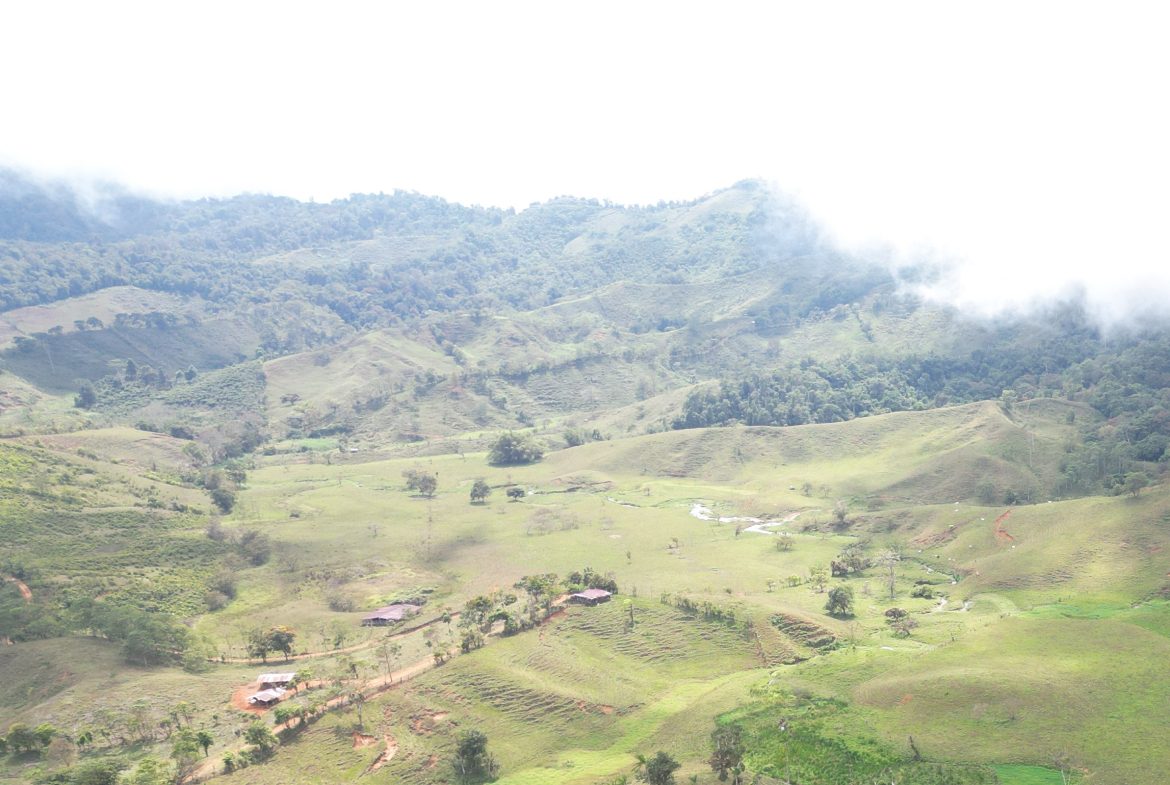 OFF-GRID MOUNTAIN PARADISE WITH LIVESTOCK, CREEKS, AND MORE – 331 ACRES AT VILLA FLOR