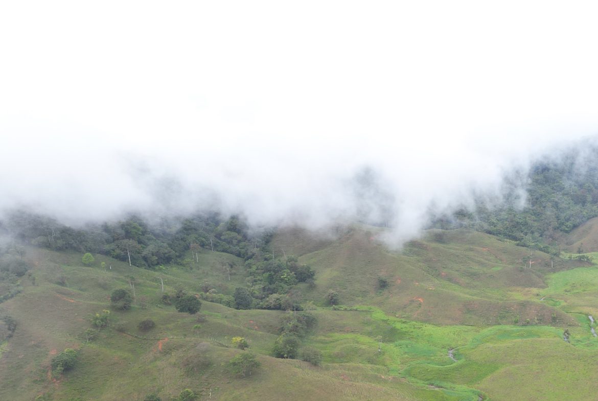 OFF-GRID MOUNTAIN PARADISE WITH LIVESTOCK, CREEKS, AND MORE – 331 ACRES AT VILLA FLOR