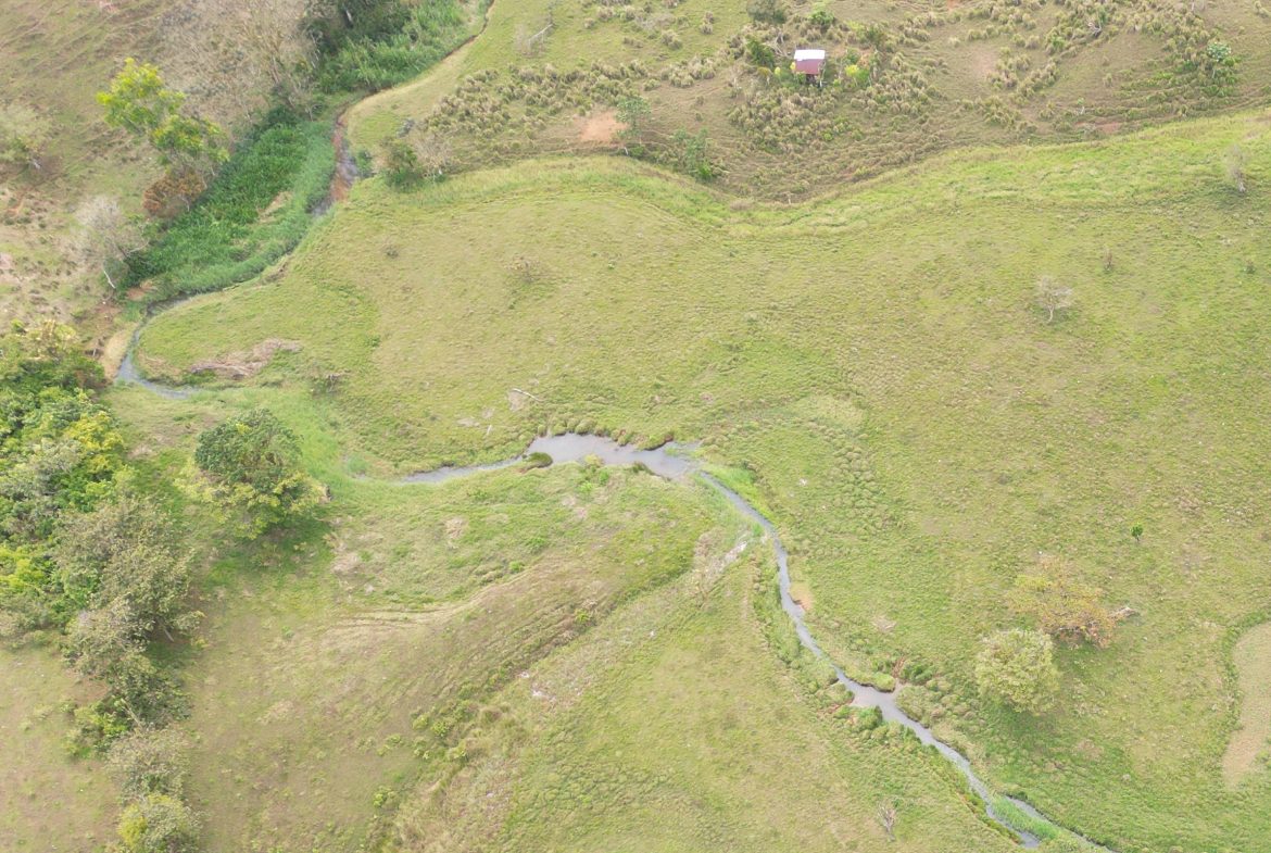 OFF-GRID MOUNTAIN PARADISE WITH LIVESTOCK, CREEKS, AND MORE – 331 ACRES AT VILLA FLOR