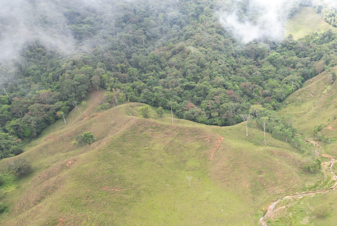 OFF-GRID MOUNTAIN PARADISE WITH LIVESTOCK, CREEKS, AND MORE – 331 ACRES AT VILLA FLOR