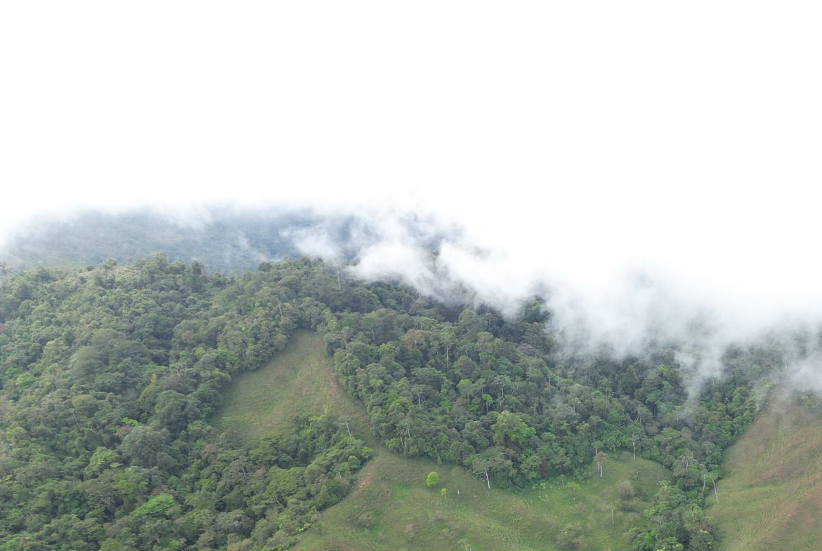OFF-GRID MOUNTAIN PARADISE WITH LIVESTOCK, CREEKS, AND MORE – 331 ACRES AT VILLA FLOR