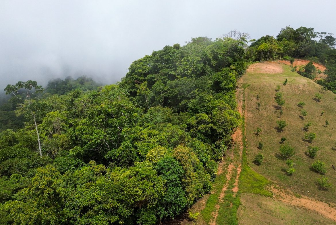 PARORAMIC VIEW OF THE SOUTH PACIFIC COSTS LOT – 3.36 ACRES