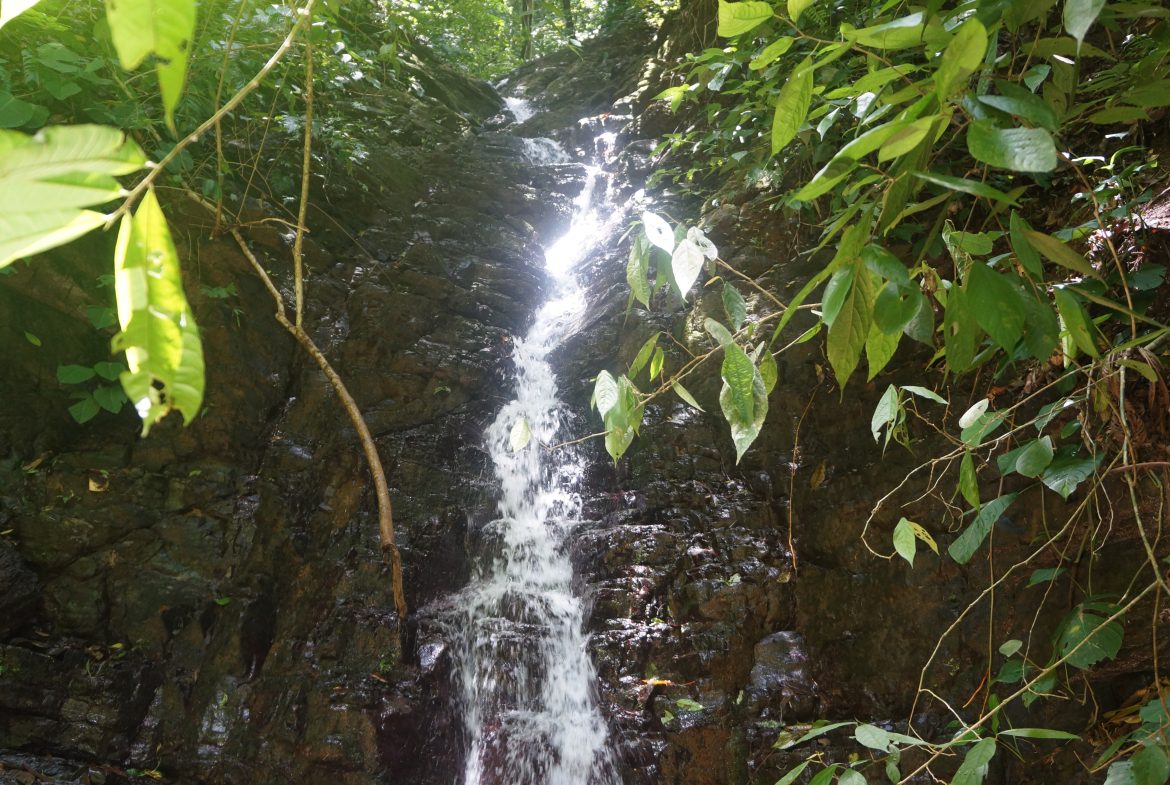 A SEAMLESS BLEND OF NATURE AND COMFORT WITH PAVED ACCESS – 17.1 ACRES