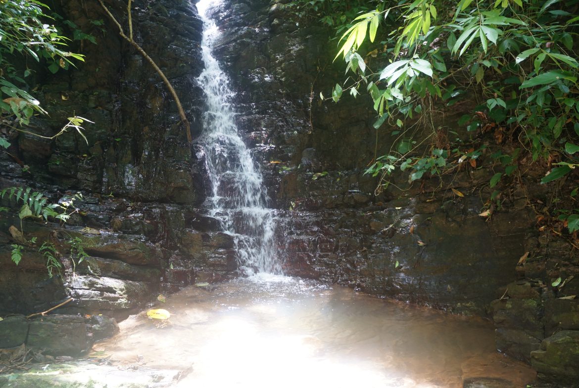 A SEAMLESS BLEND OF NATURE AND COMFORT WITH PAVED ACCESS – 17.1 ACRES