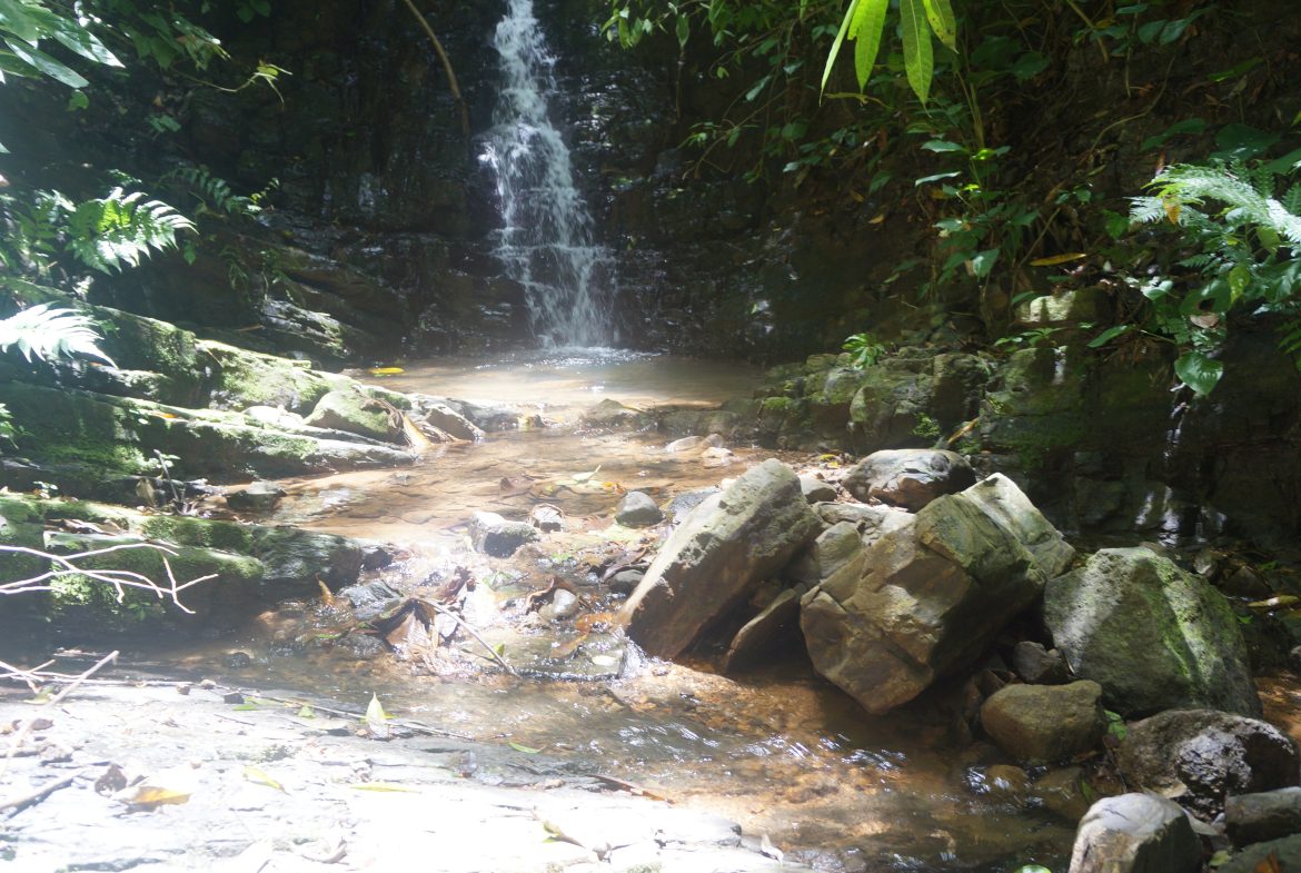 A SEAMLESS BLEND OF NATURE AND COMFORT WITH PAVED ACCESS – 17.1 ACRES