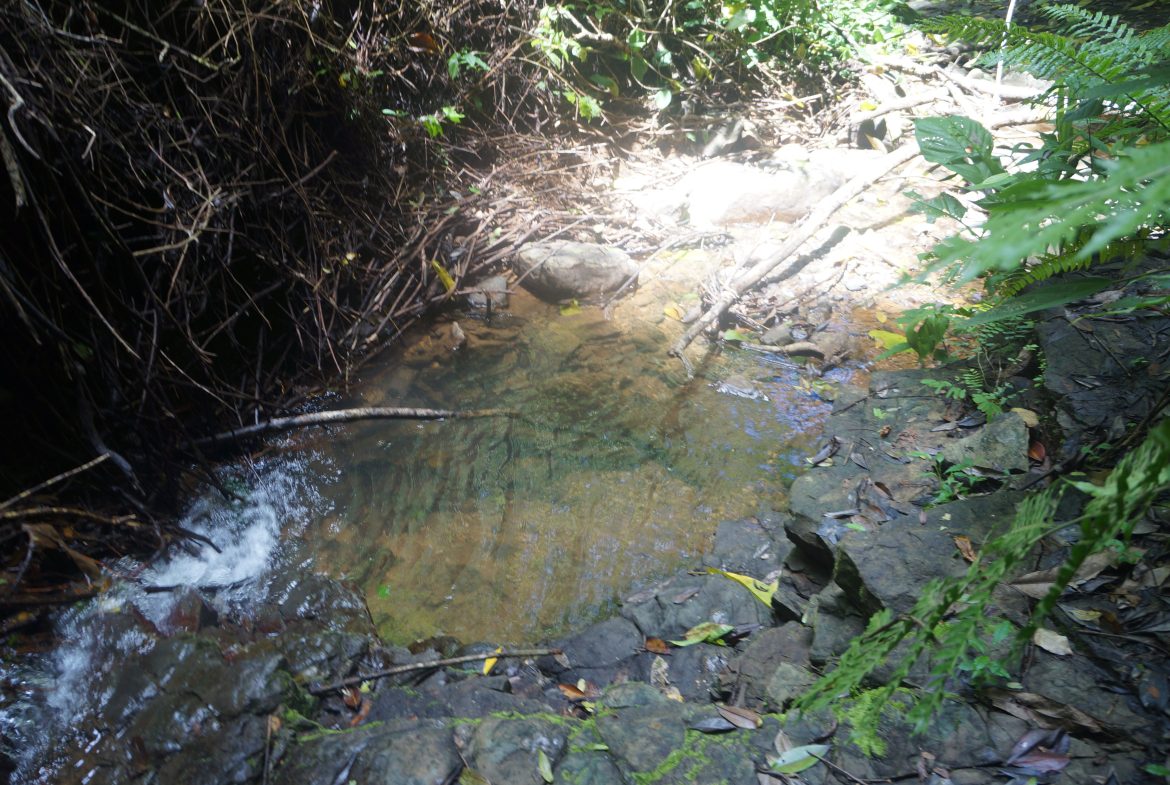 A SEAMLESS BLEND OF NATURE AND COMFORT WITH PAVED ACCESS – 17.1 ACRES
